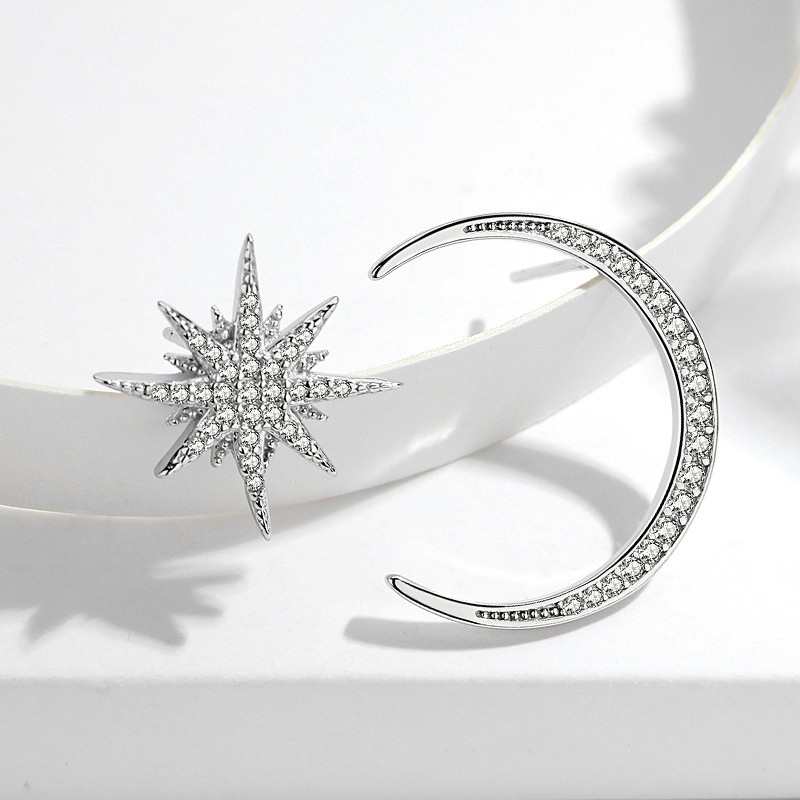Trendy Rose Gold Plated J 925 Sterling Silver ewelry Women Full Cubic Zirconia Star Moon Stud Earrin